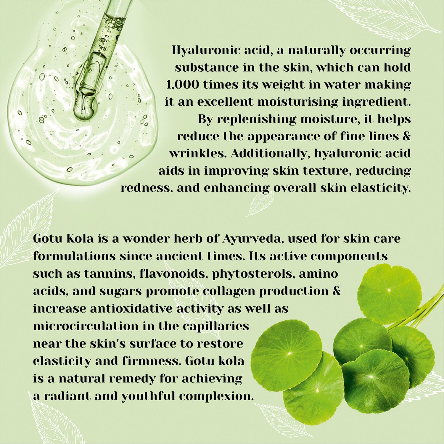 Vit-C & Gotukola Face Serum