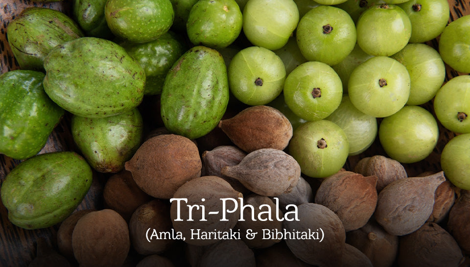 The Healing Power of Triphala: Unlocking its Benefits for Skin Care